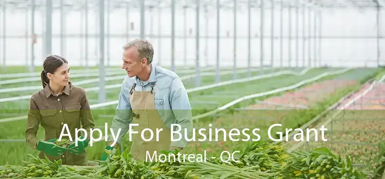 Apply For Business Grant Montreal - QC